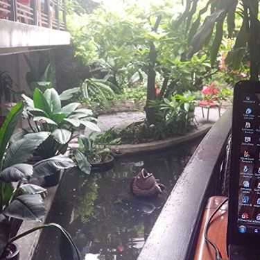 Tổng hợp- Thuyền Cafe