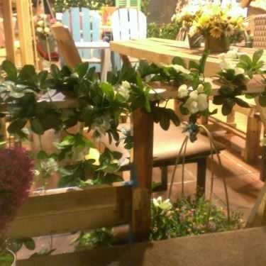 Tổng hợp- Tiny Garden - Cafe Sách