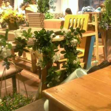 Tổng hợp- Tiny Garden - Cafe Sách