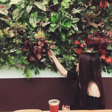 Tổng hợp- Cafe Trà Sữa GreenTra