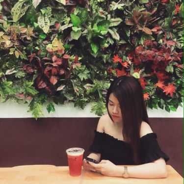 Tổng hợp- Cafe Trà Sữa GreenTra