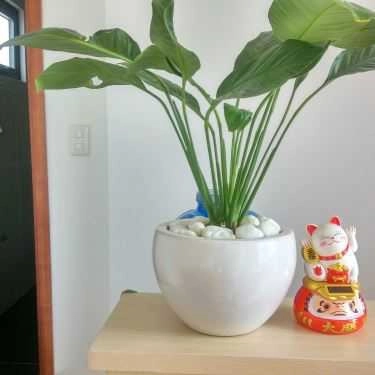 Tổng hợp- Cafe Twitter - Food & Drink