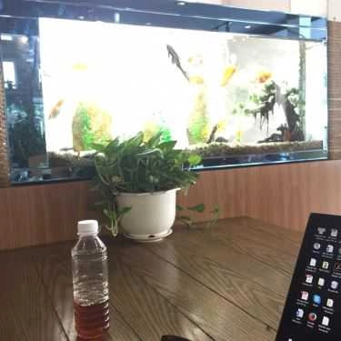 Tổng hợp- Viva Star Coffee Vĩnh Lộc