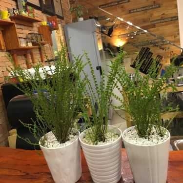 Tổng hợp- Chez Katina Cafe