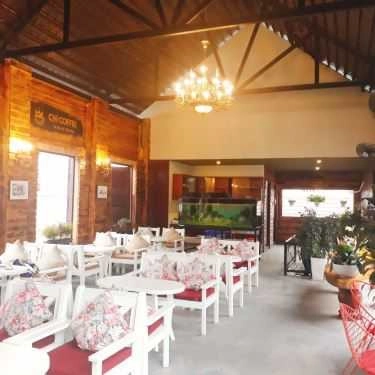 Tổng hợp- Chí Coffee