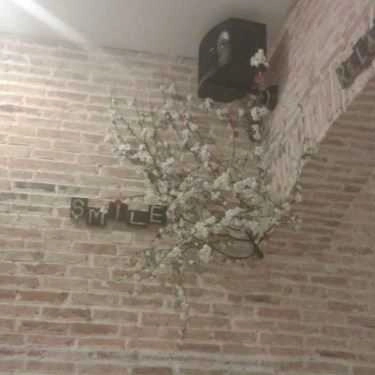 Tổng hợp- Chibi Cafe