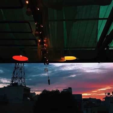 Tổng hợp- Chíp & Mều Cafe