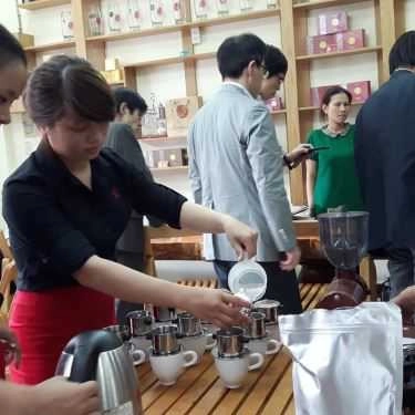 Tổng hợp- Chồn Coffee - Legend Revived Authentic