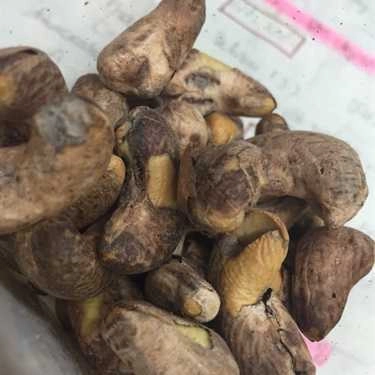 Món ăn- Chóp Chép Food - Ăn Vặt Số 1