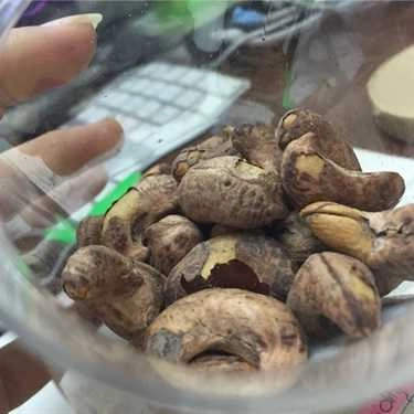 Món ăn- Chóp Chép Food - Ăn Vặt Số 1