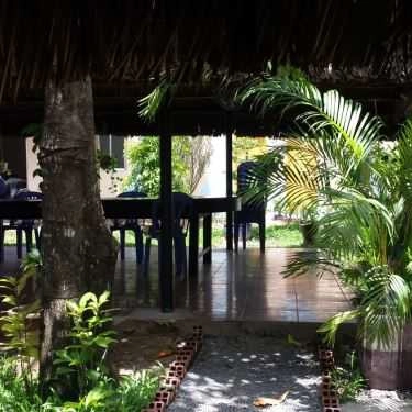 Tổng hợp- Chuối Hột Rừng - Quán Nhậu Gia Đình