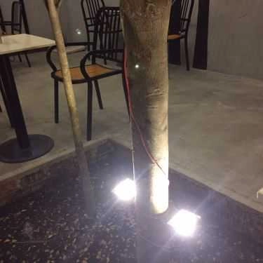 Tổng hợp- Citizone Coffee - Lê Thị Hà