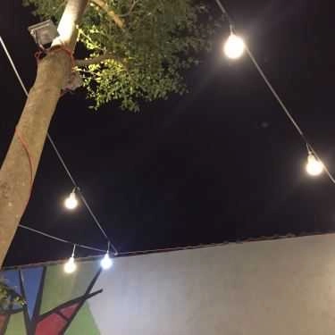 Tổng hợp- Citizone Coffee - Lê Thị Hà