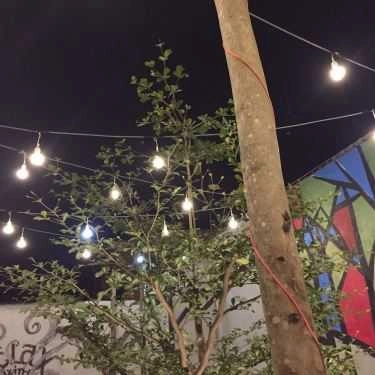 Tổng hợp- Citizone Coffee - Lê Thị Hà