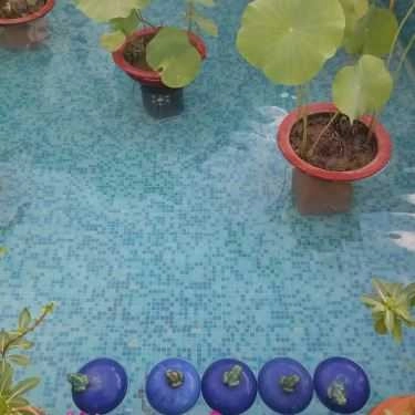 Tổng hợp- City House Cafe - Sân Vườn Lãng Mạn