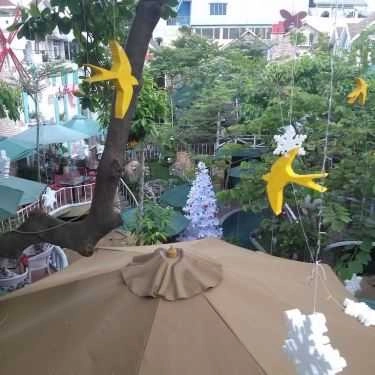 Tổng hợp- City House Cafe - Sân Vườn Lãng Mạn