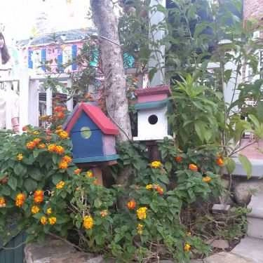 Tổng hợp- City House Cafe - Sân Vườn Lãng Mạn