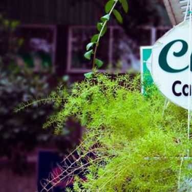 Tổng hợp- Clover Cafe & Crepes