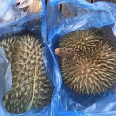Tổng hợp- Cô Nga - Chuyên Các Món Ăn Vặt