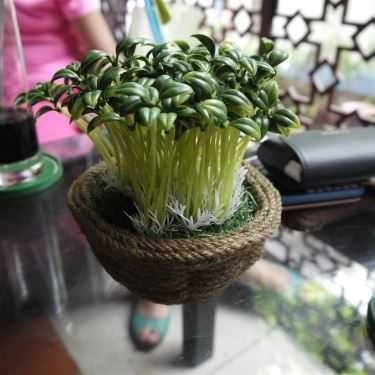 Tổng hợp- Cỏ Nội Garden Cafe