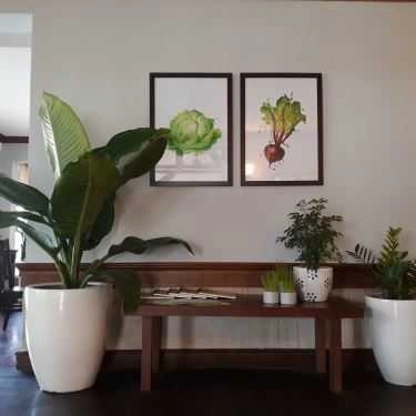 Tổng hợp- Quán Ăn Cỏ Nội Vegetarian - Bông Sen Hotel