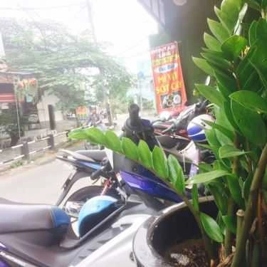 Tổng hợp- Coffee Green House