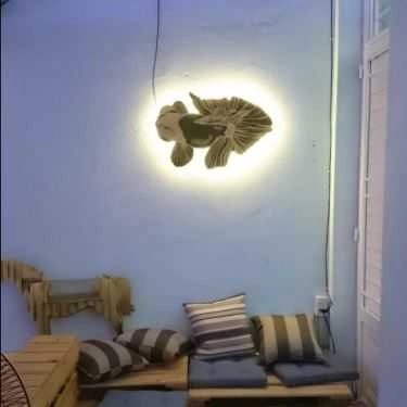 Tổng hợp- Coffish - Cà Phê Cá Cảnh