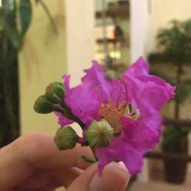 Tổng hợp- Hoas Cafe - Nguyễn Văn Đậu