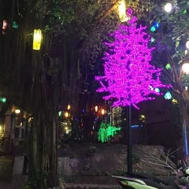 Tổng hợp- Cõi Đá Cafe - Thống Nhất
