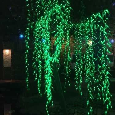 Tổng hợp- Cõi Đá Cafe - Thống Nhất