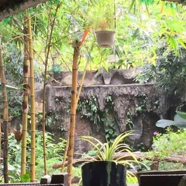 Tổng hợp- Cõi Đá Cafe - Thống Nhất