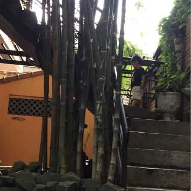 Tổng hợp- Cội Nguồn Cafe - Hoàng Văn Hợp