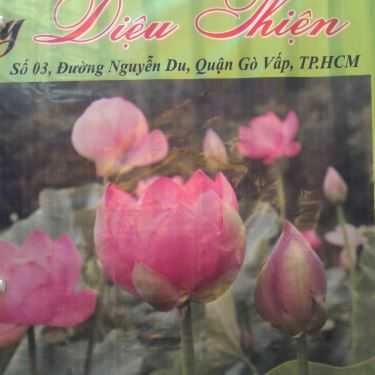 Tổng hợp- Quán Ăn Cơm Chay Diệu Thiện