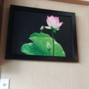 Tổng hợp- Quán Ăn Cơm Chay Mani
