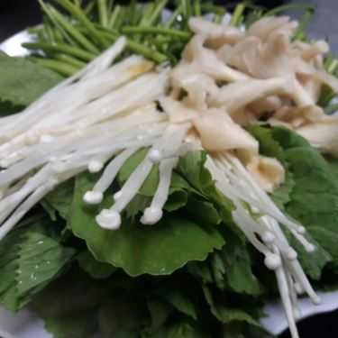Tổng hợp- Quán Ăn Cơm Chay Tịnh Độ