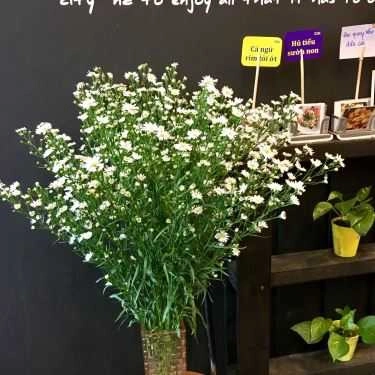 Tổng hợp- Cafe The EF - Food & Drink