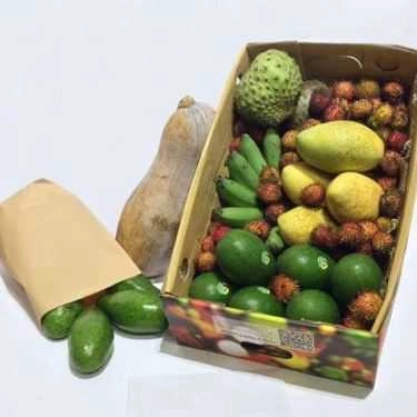 Tổng hợp- Trái Cây Miền Tây - Shop Online - Cộng Hòa