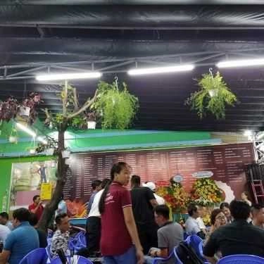 Tổng hợp- Con Heo Đất - Quán Nhậu