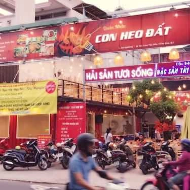 Tổng hợp- Con Heo Đất - Quán Nhậu