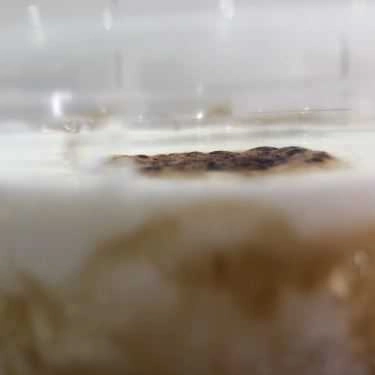 Tổng hợp- Cafe Cowee Tea