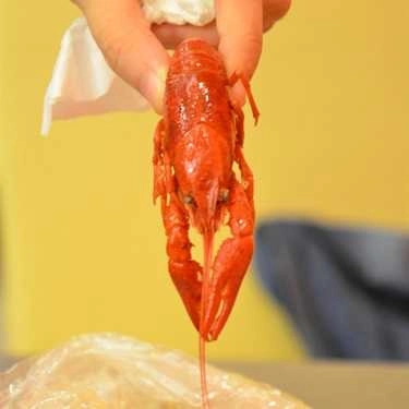 Món ăn- Shop online Crawfish House - Crawfish Online