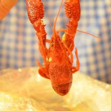 Món ăn- Shop online Crawfish House - Crawfish Online