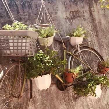 Tổng hợp- Cửa Lem Cafe