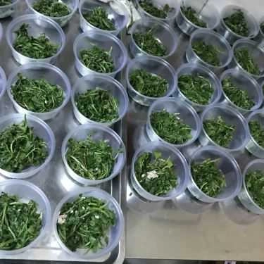 Tổng hợp- Quán Cơm Cục Nước Đá - Cơm Trưa Văn Phòng
