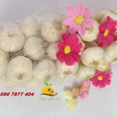 Tổng hợp- Tỏi Phan Rang - Shop Online