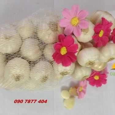 Tổng hợp- Tỏi Phan Rang - Shop Online