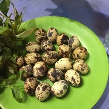 Món ăn- Ăn vặt Cút Lộn - Nguyễn Văn Lượng