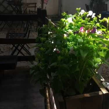 Tổng hợp- D.I.Y Cafe
