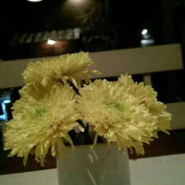 Tổng hợp- Dalat Coffee House - Lê Văn Sỹ