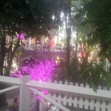 Tổng hợp- Đà Lạt Phố Cafe - Âu Cơ